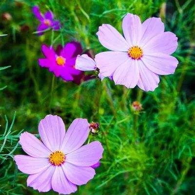 南宫28下载手机版