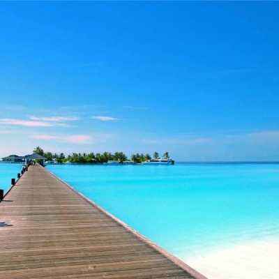 Kaiyun下载手机版