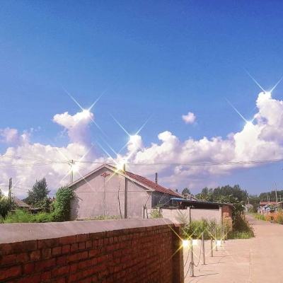 乐鱼app(中国体育)官方网站app下载