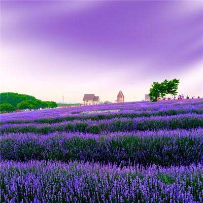 单机的打鱼游戏