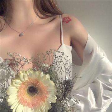 米博体育官方网站入口